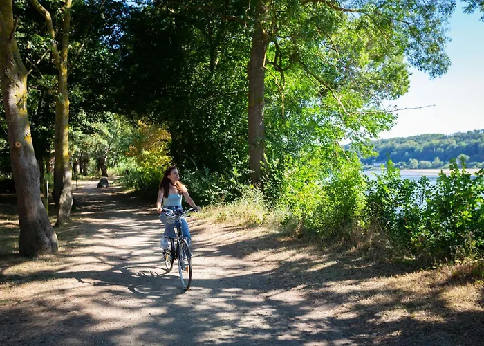 Mileade Le Domaine De La Blairie - Saumur 3*