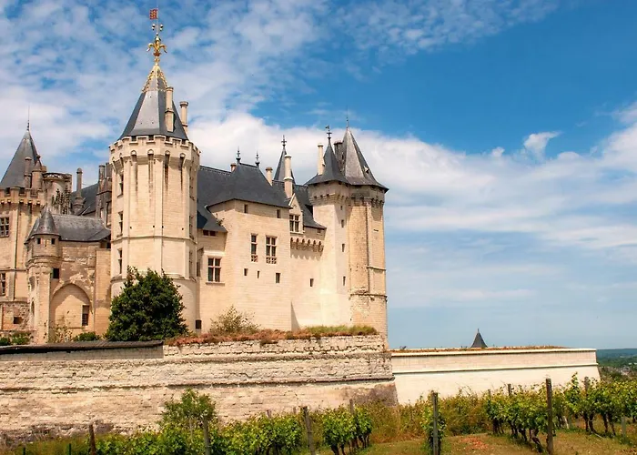Mileade Le Domaine De La Blairie - Saumur Hotel Saint-Martin-de-la-Place